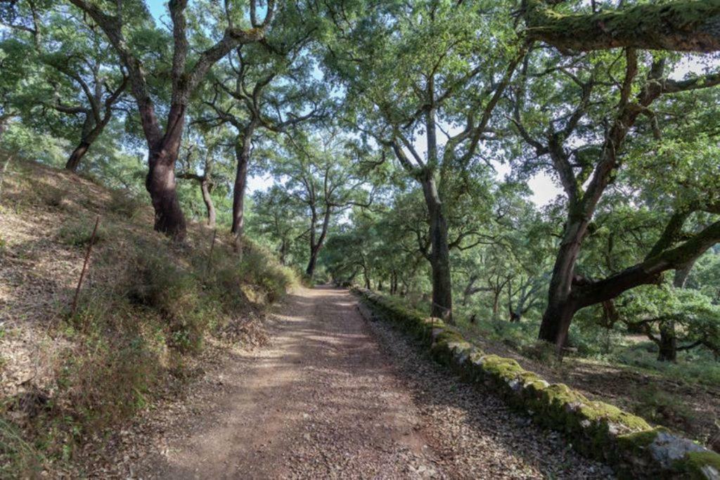 Finca Montemateo Navahermosa  Exteriér fotografie